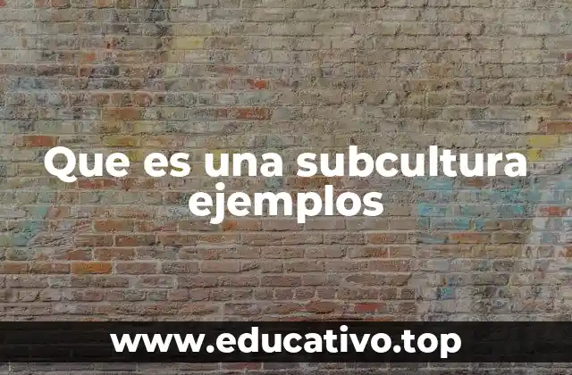 Que es una subcultura ejemplos