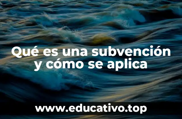 Qué es una subvención y cómo se aplica
