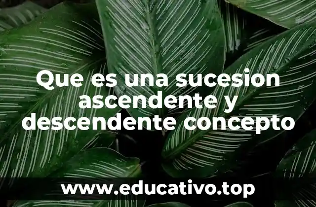 Que es una sucesion ascendente y descendente concepto