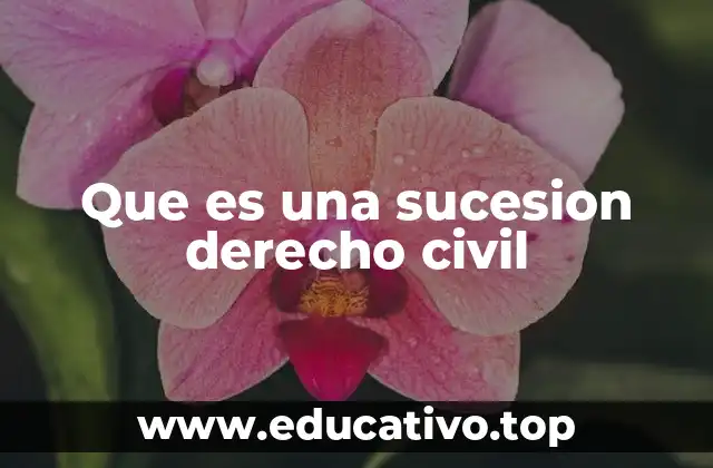 Que es una sucesion derecho civil