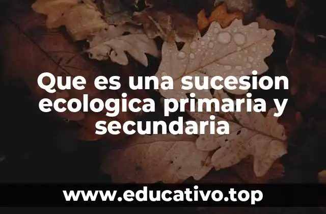 Que es una sucesion ecologica primaria y secundaria