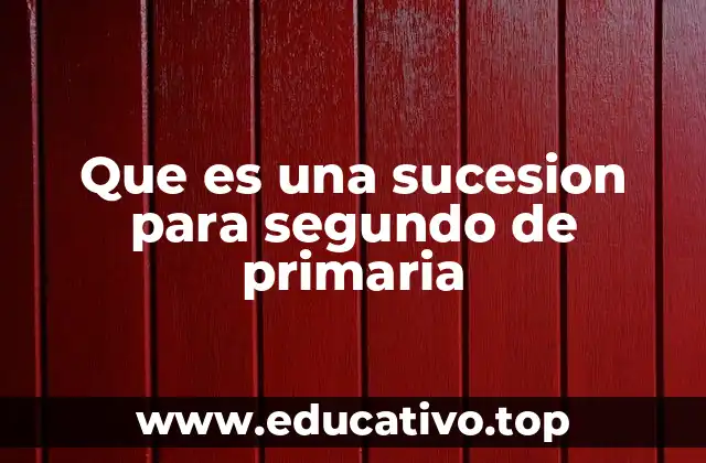 Que es una sucesion para segundo de primaria