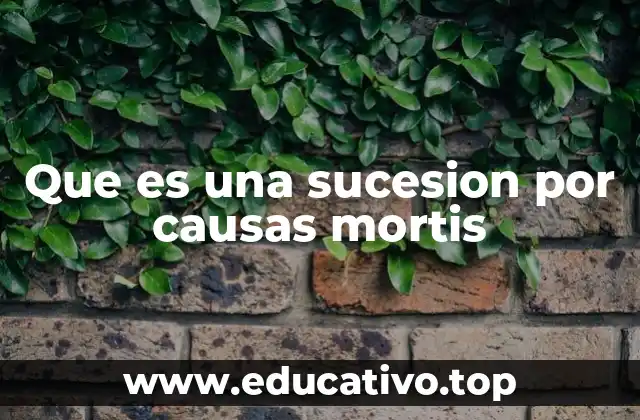 Que es una sucesion por causas mortis