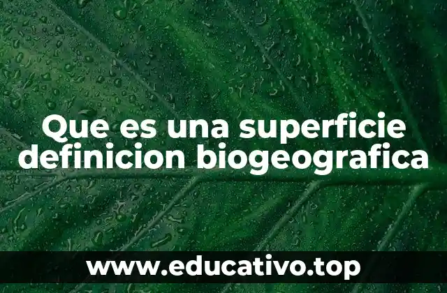 Que es una superficie definicion biogeografica