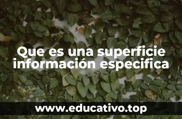 Que es una superficie información especifica