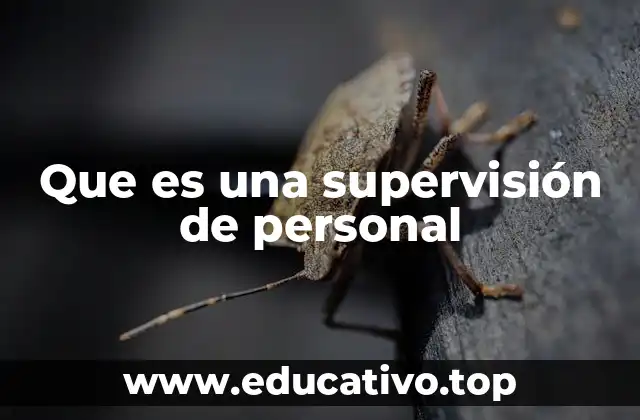 Que es una supervisión de personal