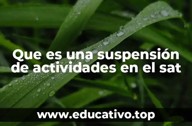 Que es una suspensión de actividades en el sat
