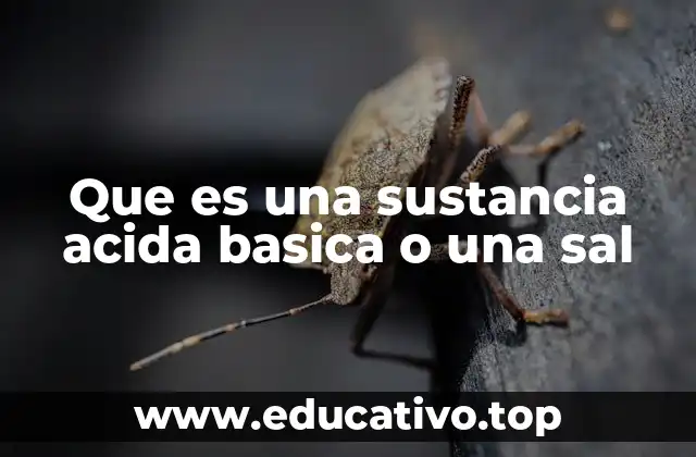 Que es una sustancia acida basica o una sal