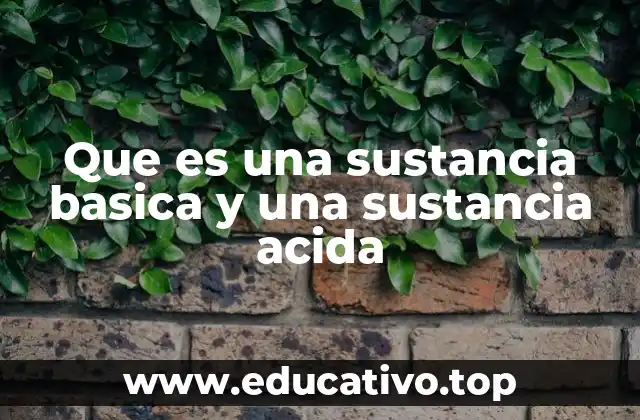 Que es una sustancia basica y una sustancia acida