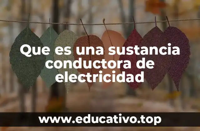 Que es una sustancia conductora de electricidad