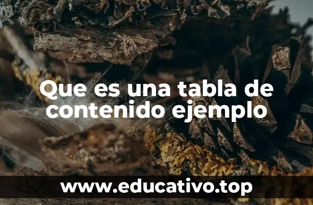 Que es una tabla de contenido ejemplo