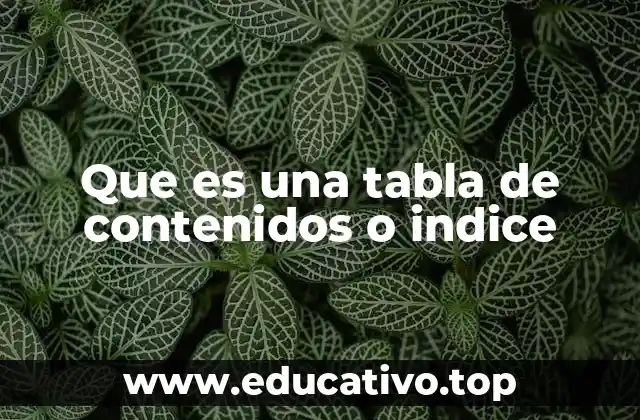 Que es una tabla de contenidos o indice