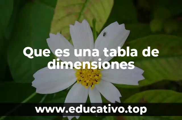 Que es una tabla de dimensiones