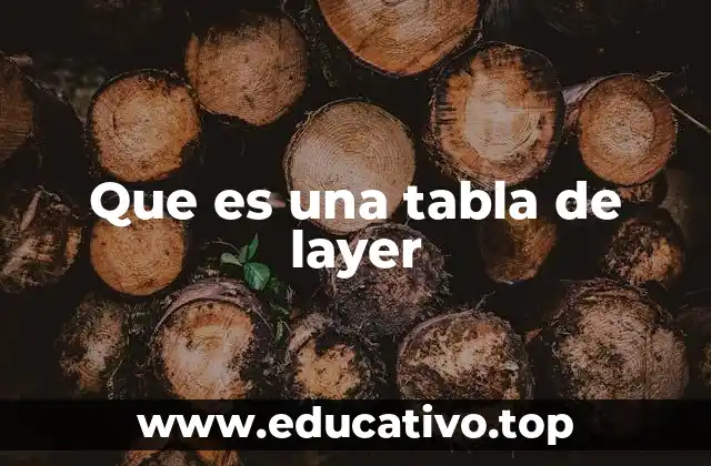 Que es una tabla de layer