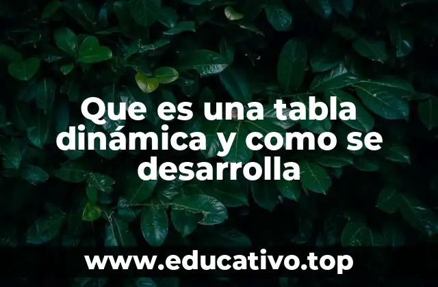 Que es una tabla dinámica y como se desarrolla