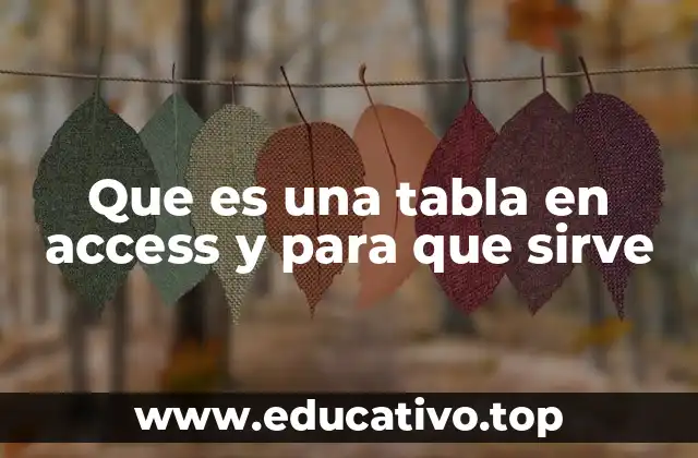 Que es una tabla en access y para que sirve
