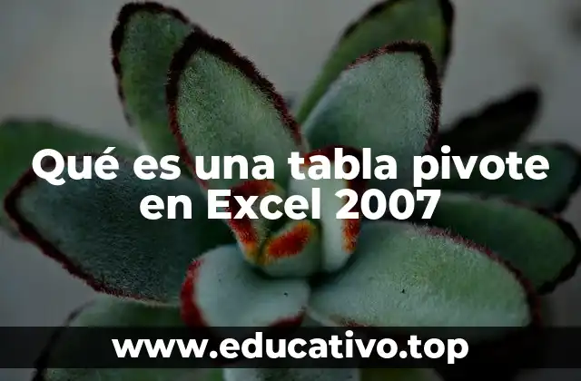 Qué es una tabla pivote en Excel 2007