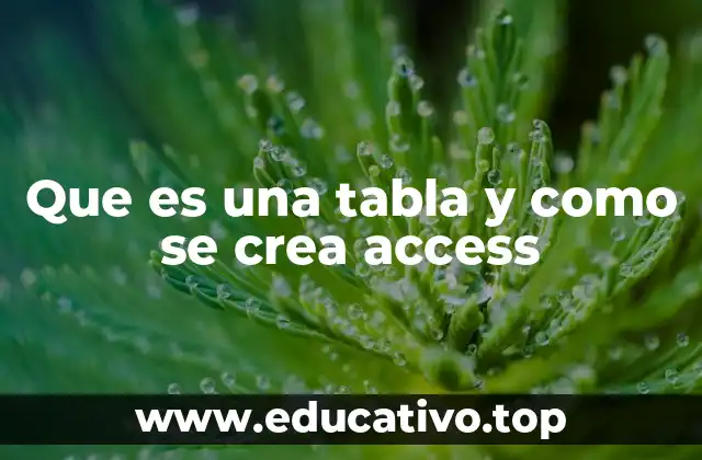 Que es una tabla y como se crea access