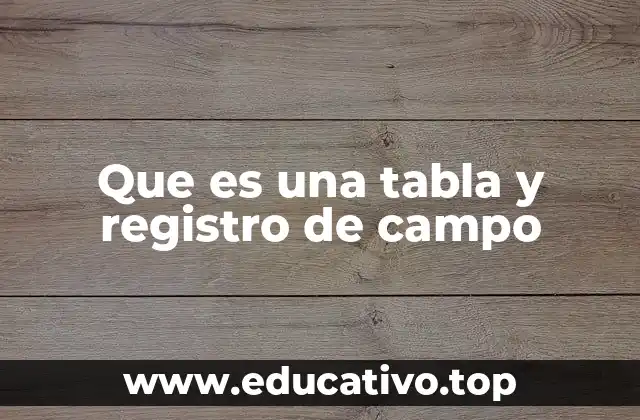 Que es una tabla y registro de campo