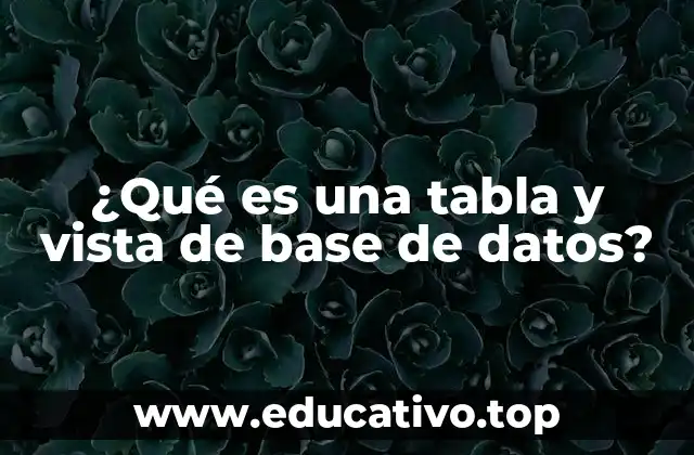 ¿Qué es una tabla y vista de base de datos?