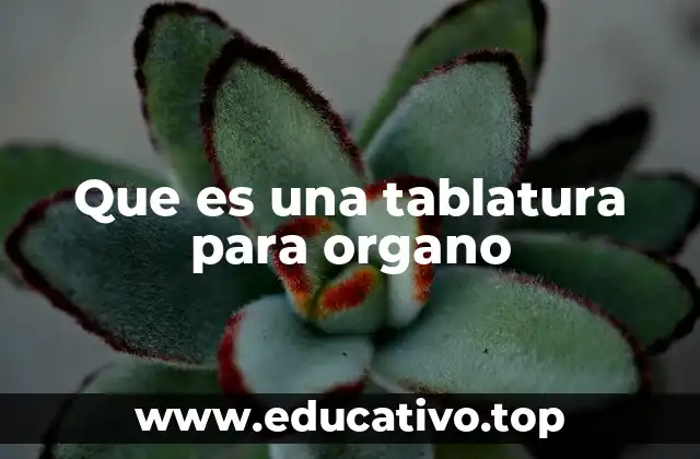 Que es una tablatura para organo