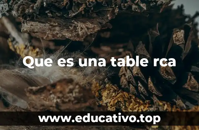 Que es una table rca