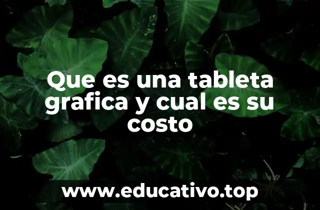 Que es una tableta grafica y cual es su costo