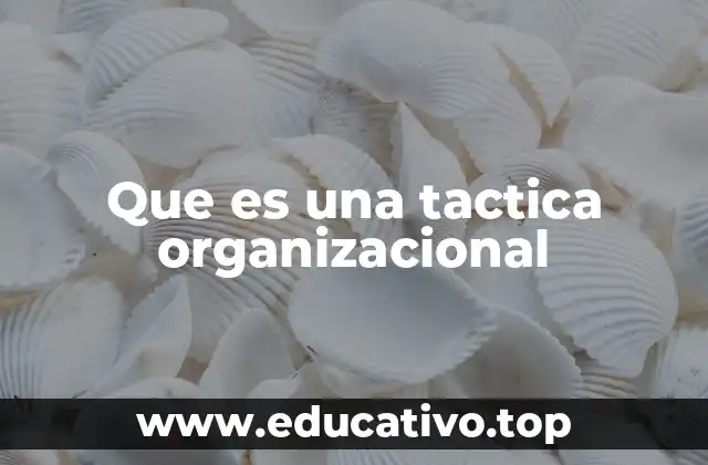 Que es una tactica organizacional