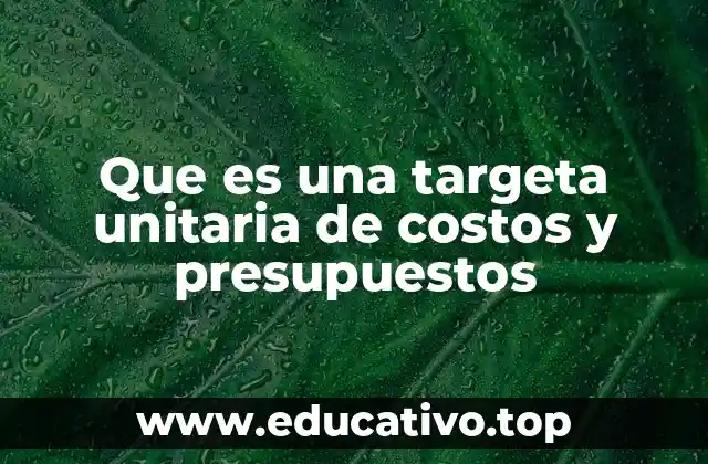 Que es una targeta unitaria de costos y presupuestos