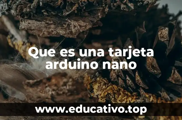 Que es una tarjeta arduino nano