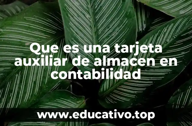 Que es una tarjeta auxiliar de almacen en contabilidad