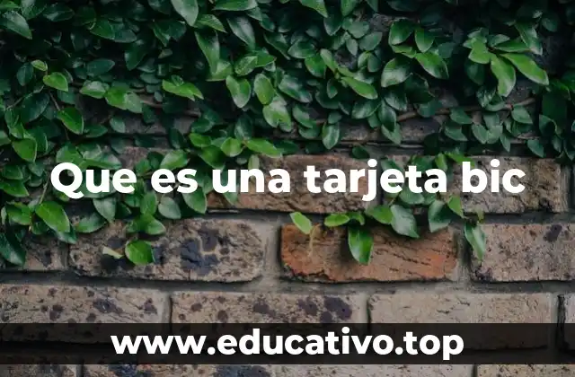 Que es una tarjeta bic