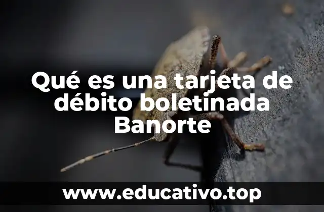 Cómo funciona una tarjeta de débito boletinada en el sistema financiero