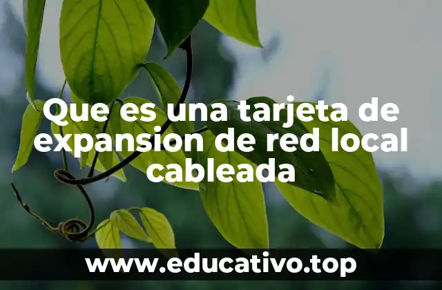 Que es una tarjeta de expansion de red local cableada