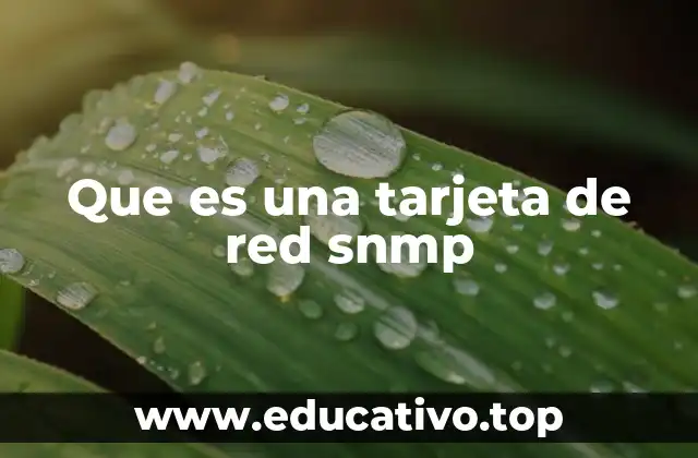 Que es una tarjeta de red snmp
