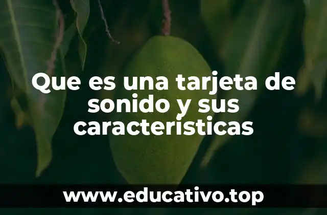 Que es una tarjeta de sonido y sus caracteristicas