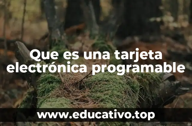 Que es una tarjeta electrónica programable