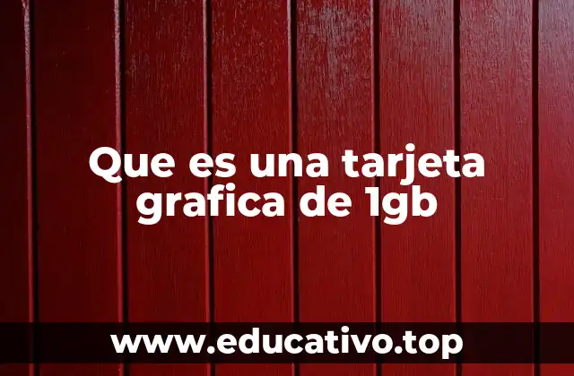 Que es una tarjeta grafica de 1gb