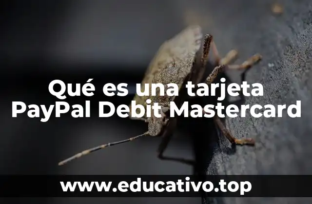 Qué es una tarjeta PayPal Debit Mastercard
