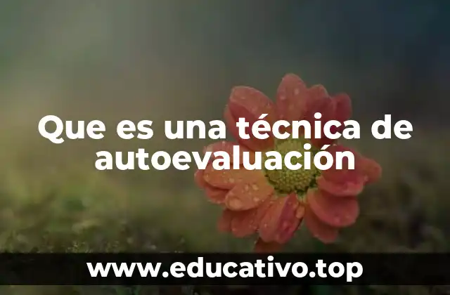 Que es una técnica de autoevaluación