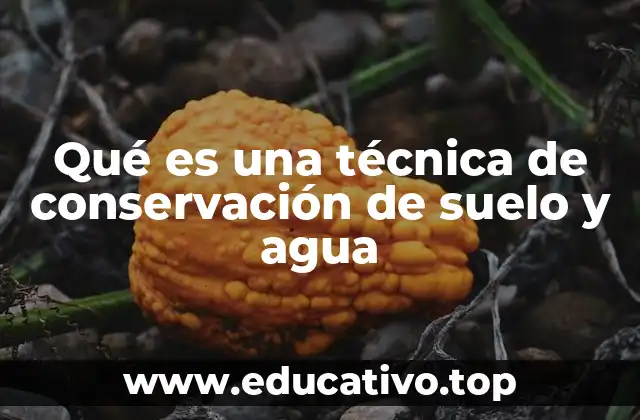 Qué es una técnica de conservación de suelo y agua