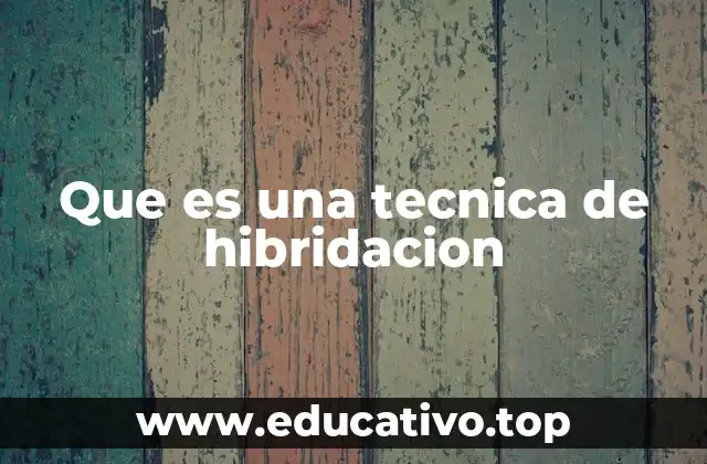 Que es una tecnica de hibridacion