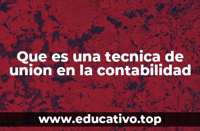 Que es una tecnica de union en la contabilidad