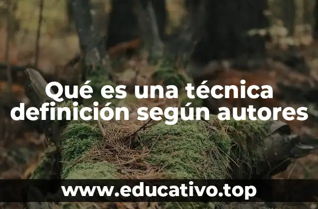 Qué es una técnica definición según autores