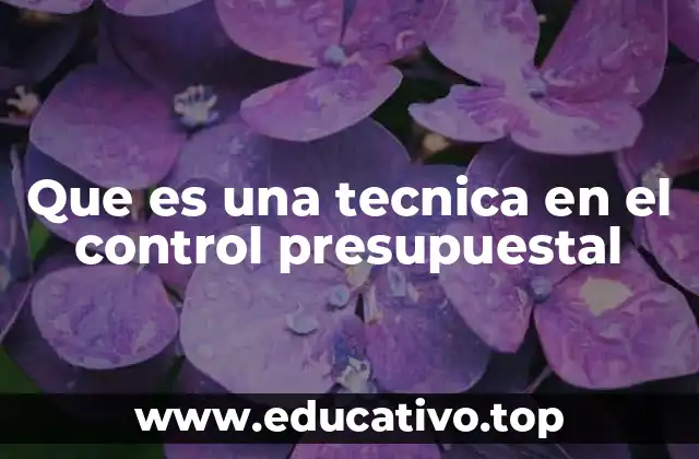 Que es una tecnica en el control presupuestal