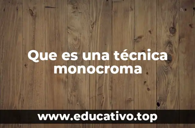 Que es una técnica monocroma