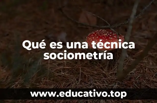 Qué es una técnica sociometría