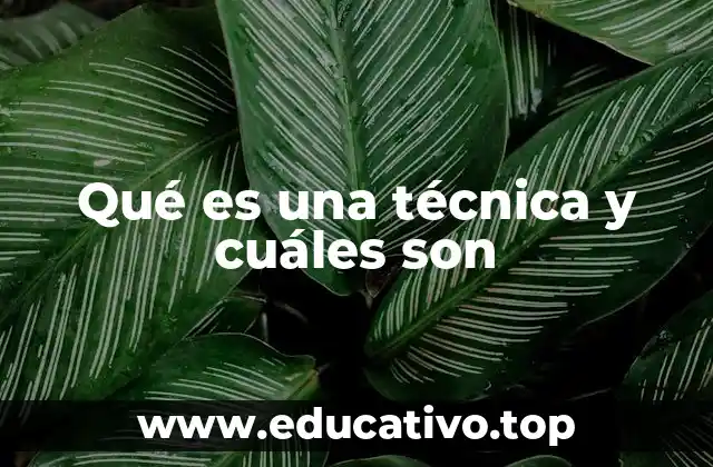 Qué es una técnica y cuáles son