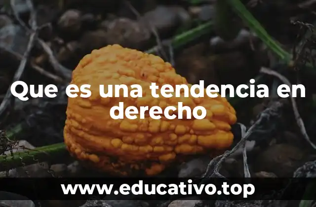 Que es una tendencia en derecho