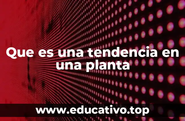 Cómo las plantas responden a su entorno